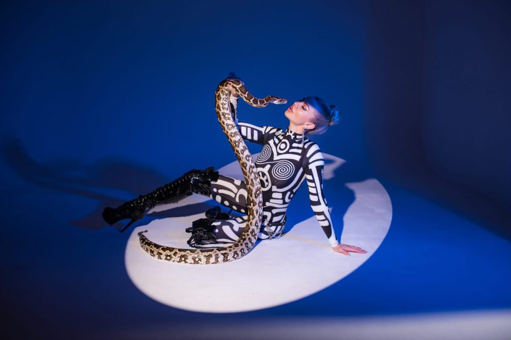 Заказать стриптиз со змеёй