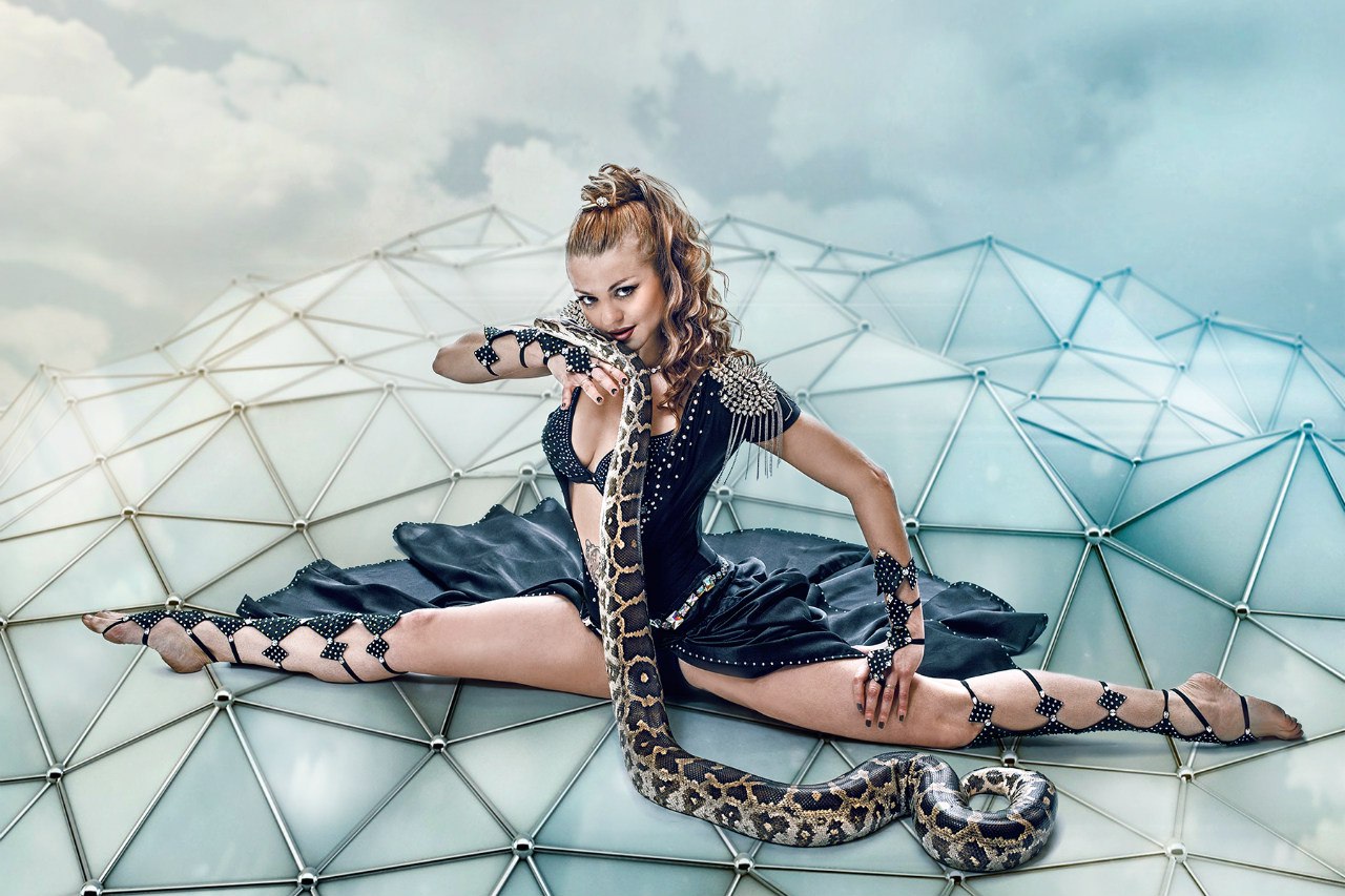 Заказать акробатическое шоу на праздник