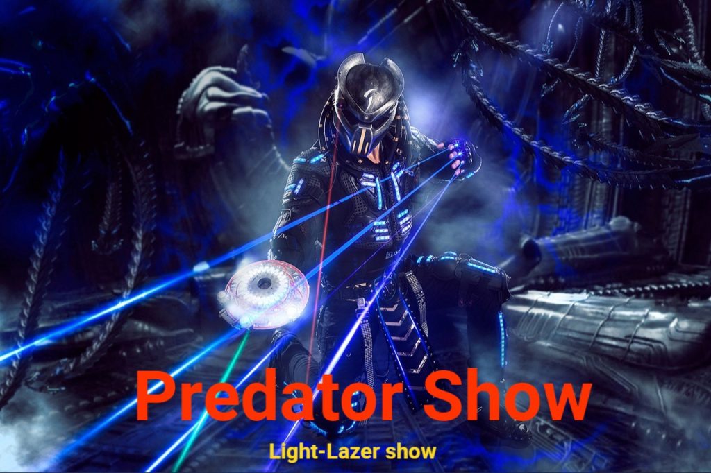 заказать светодиодное шоу